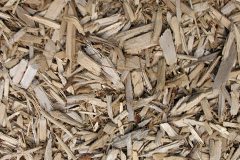 biomass boilers Brokerswood